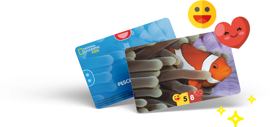 Card Pesce Pagliaccio